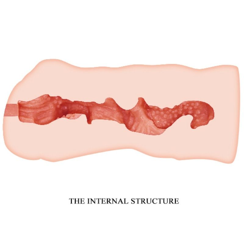 CRAZY BULL - LINDA MASTURBADOR VAGINA 13.7 CM - Imagen 3